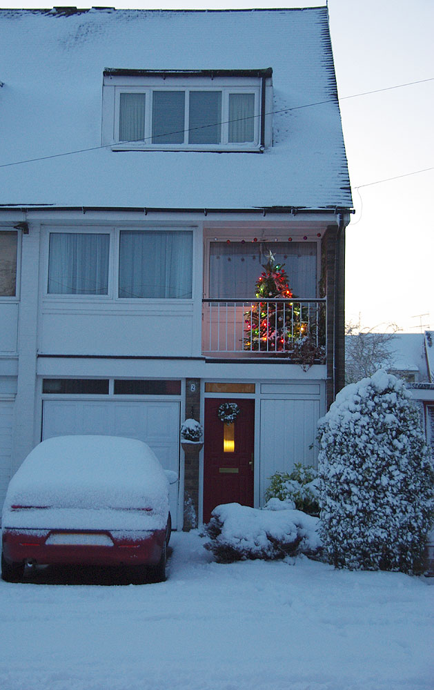 Bay Trees 18 December 2009